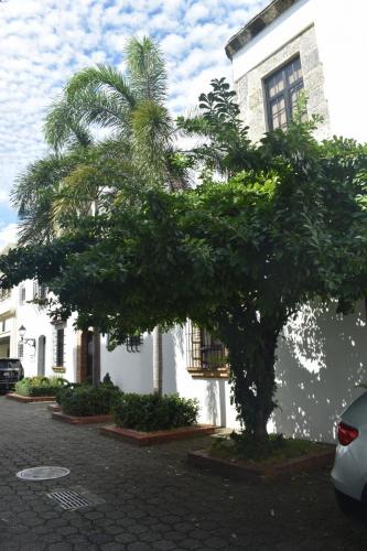 DSC 5178