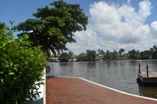 dsc 2554