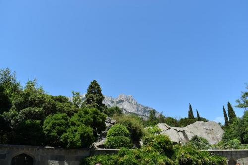 dsc 6350
